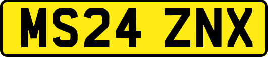 MS24ZNX
