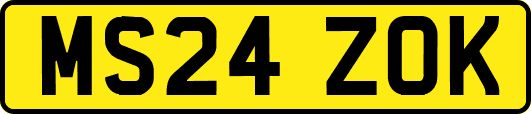 MS24ZOK