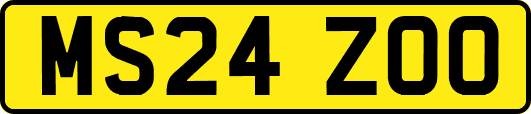 MS24ZOO