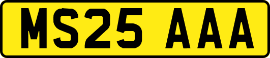 MS25AAA