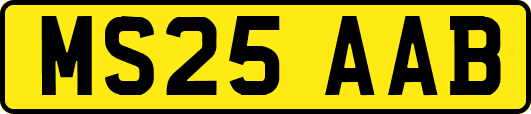 MS25AAB