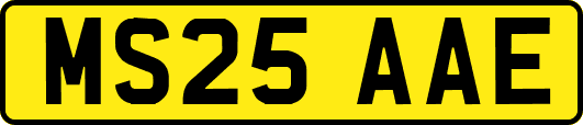 MS25AAE