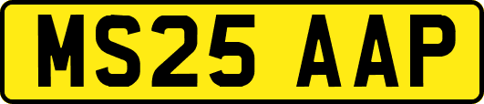 MS25AAP