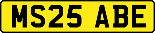 MS25ABE