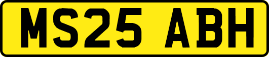 MS25ABH