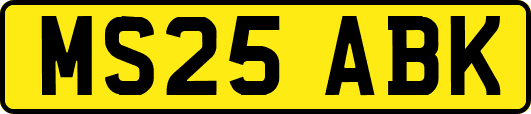 MS25ABK