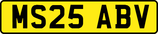 MS25ABV