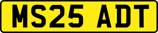 MS25ADT