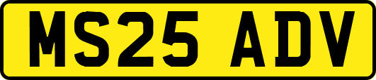 MS25ADV