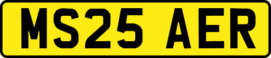 MS25AER