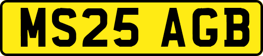 MS25AGB