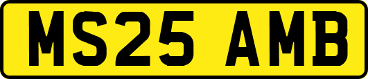 MS25AMB