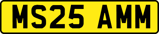MS25AMM