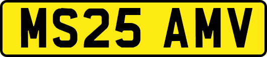 MS25AMV