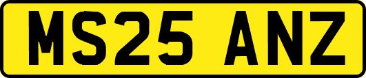 MS25ANZ