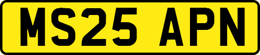 MS25APN