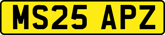 MS25APZ