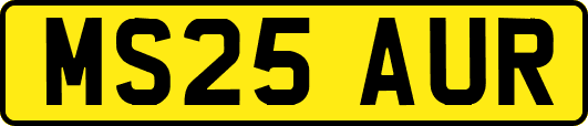 MS25AUR