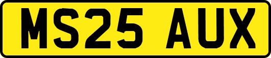 MS25AUX