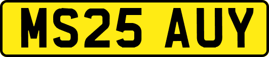 MS25AUY