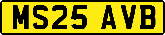 MS25AVB