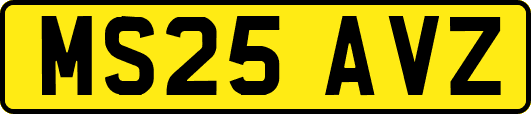 MS25AVZ