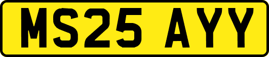MS25AYY