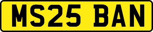 MS25BAN