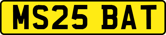 MS25BAT