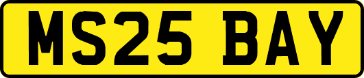 MS25BAY