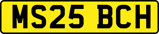 MS25BCH