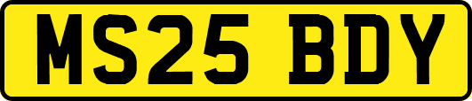 MS25BDY