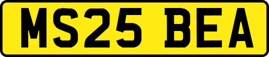 MS25BEA