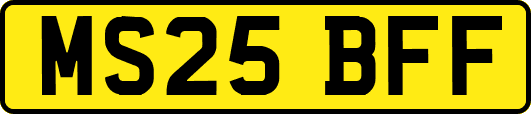 MS25BFF