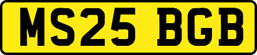 MS25BGB
