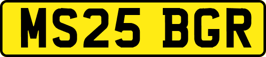 MS25BGR
