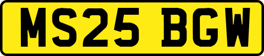 MS25BGW