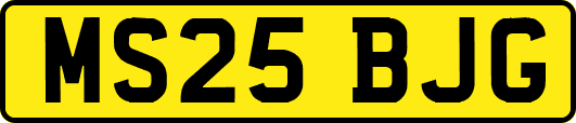 MS25BJG