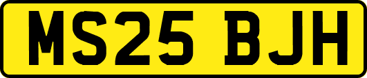 MS25BJH