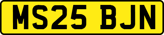 MS25BJN