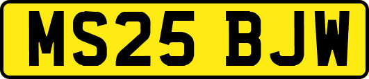 MS25BJW