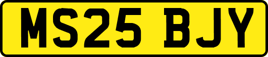 MS25BJY