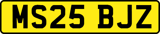MS25BJZ