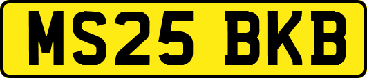 MS25BKB
