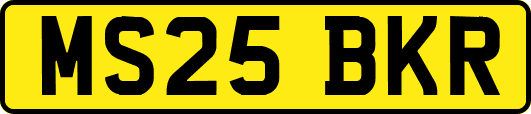 MS25BKR