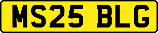 MS25BLG
