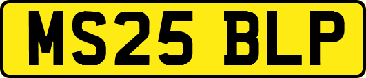 MS25BLP