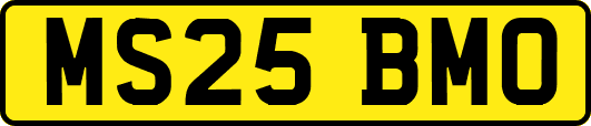 MS25BMO