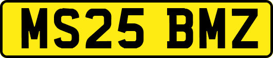 MS25BMZ