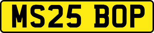 MS25BOP